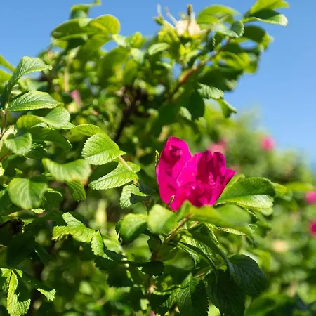Haus Sturmfried 281 - Nord