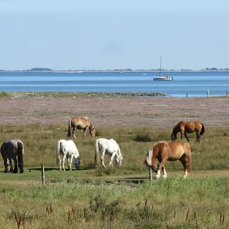 Appartamento Haus Sturmfried 281 - Nord *